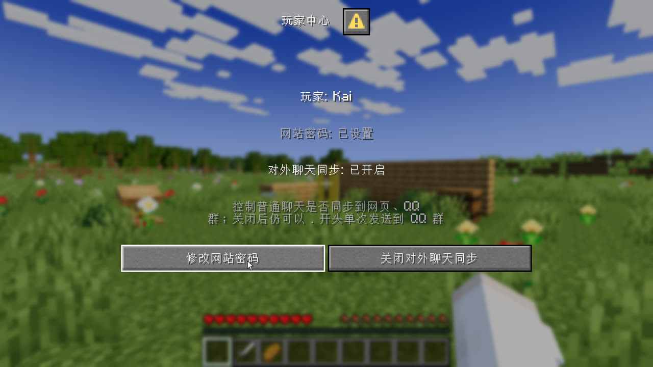 玩家中心显示网站密码与对外聊天同步的状态