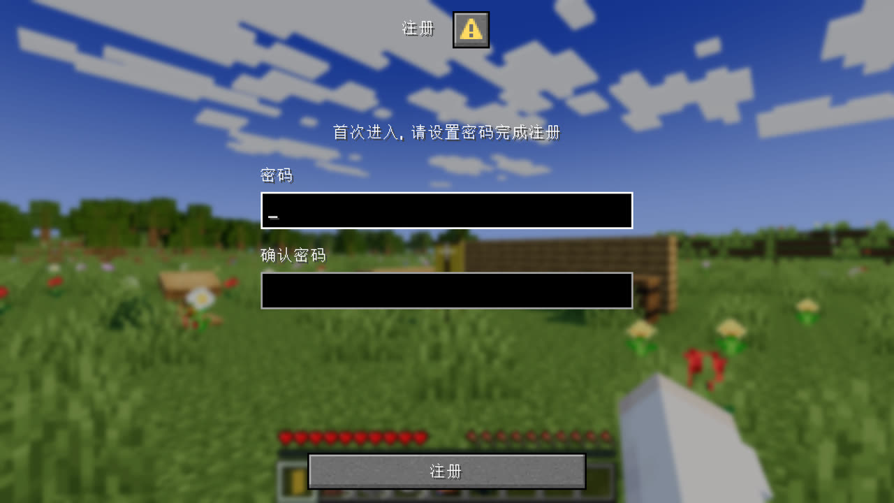 首次进入弹出的“注册”对话框，两个密码框都要填写