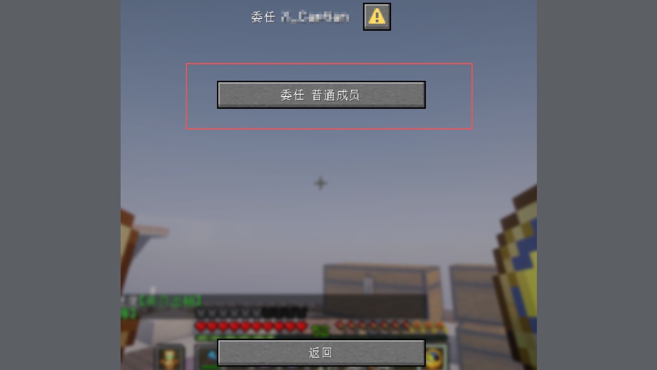 点“委任 普通成员”