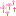 粉红色花簇 粉红色花簇